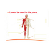 Chinese Herbal Medical Plaster Spondylosis Pain Relife